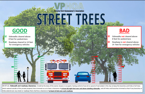 Street Trees and Emergencies